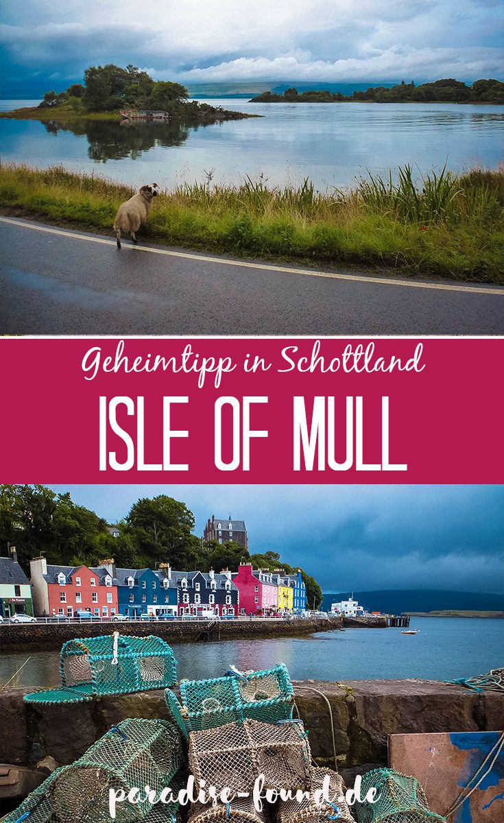 Geheimtipp für Schottland: Die Isle of Mull