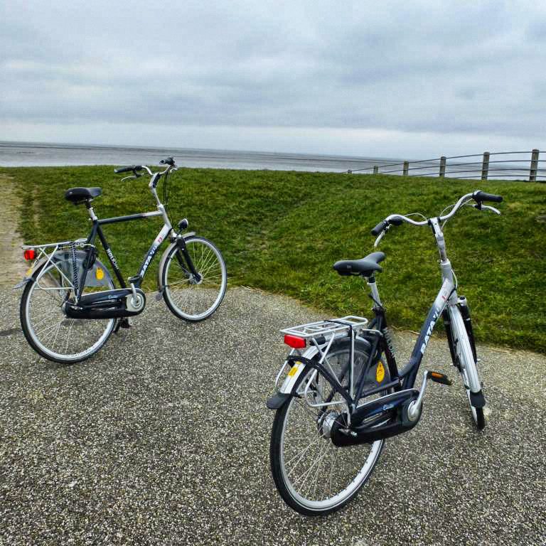 Wellen, Wind und Weite auf Ameland