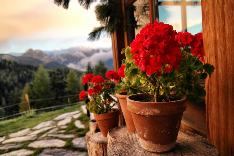 Hüttenromantik in Südtirol