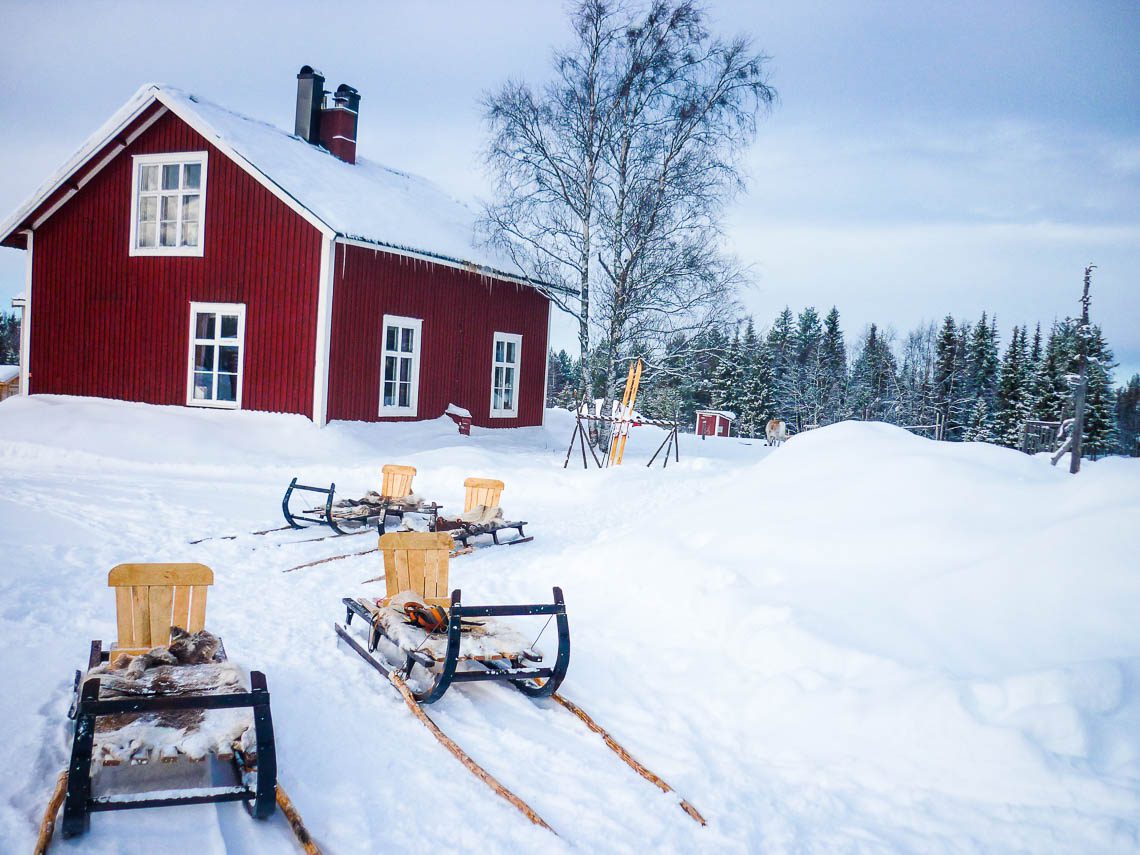 Im Wildnisdorf in Lappland Rentiere, Iglus & kein Strom