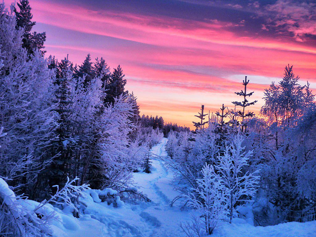 Schwedisch Lappland Highlights - Abendstimmung in Lappland