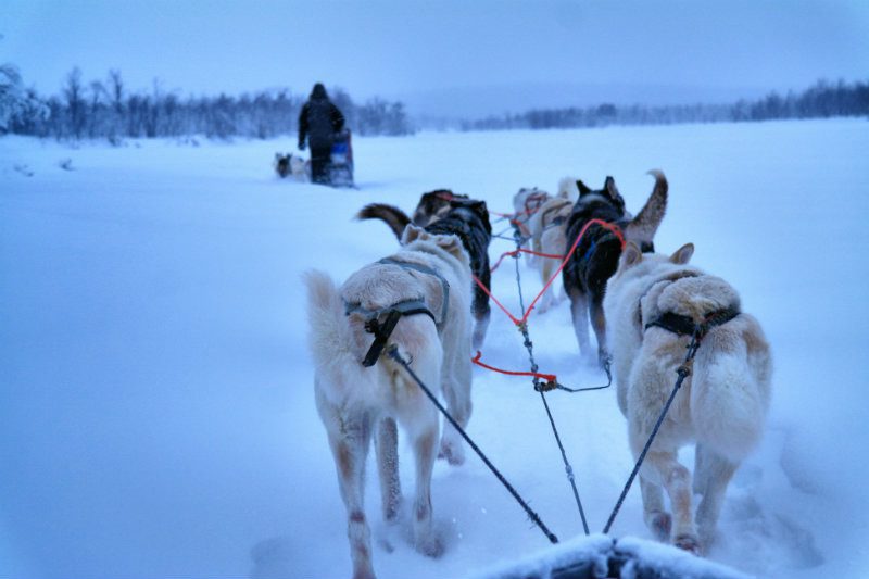 Schwedisch Lappland Highlights