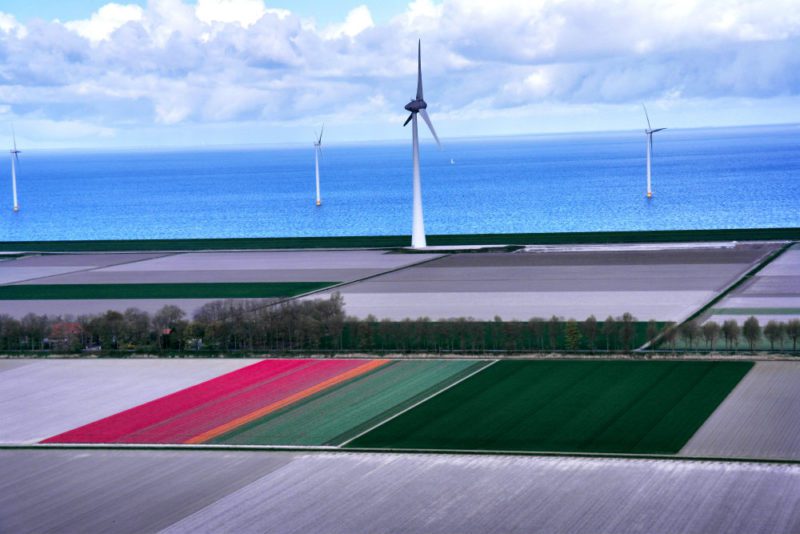 Helkopterflug über die Tulpenfelder (15)