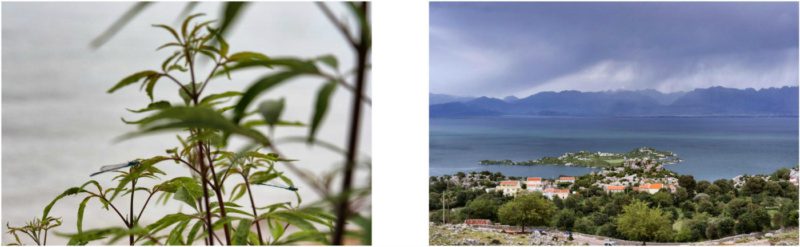 Kanufahren auf Montenegros Skutarisee 4