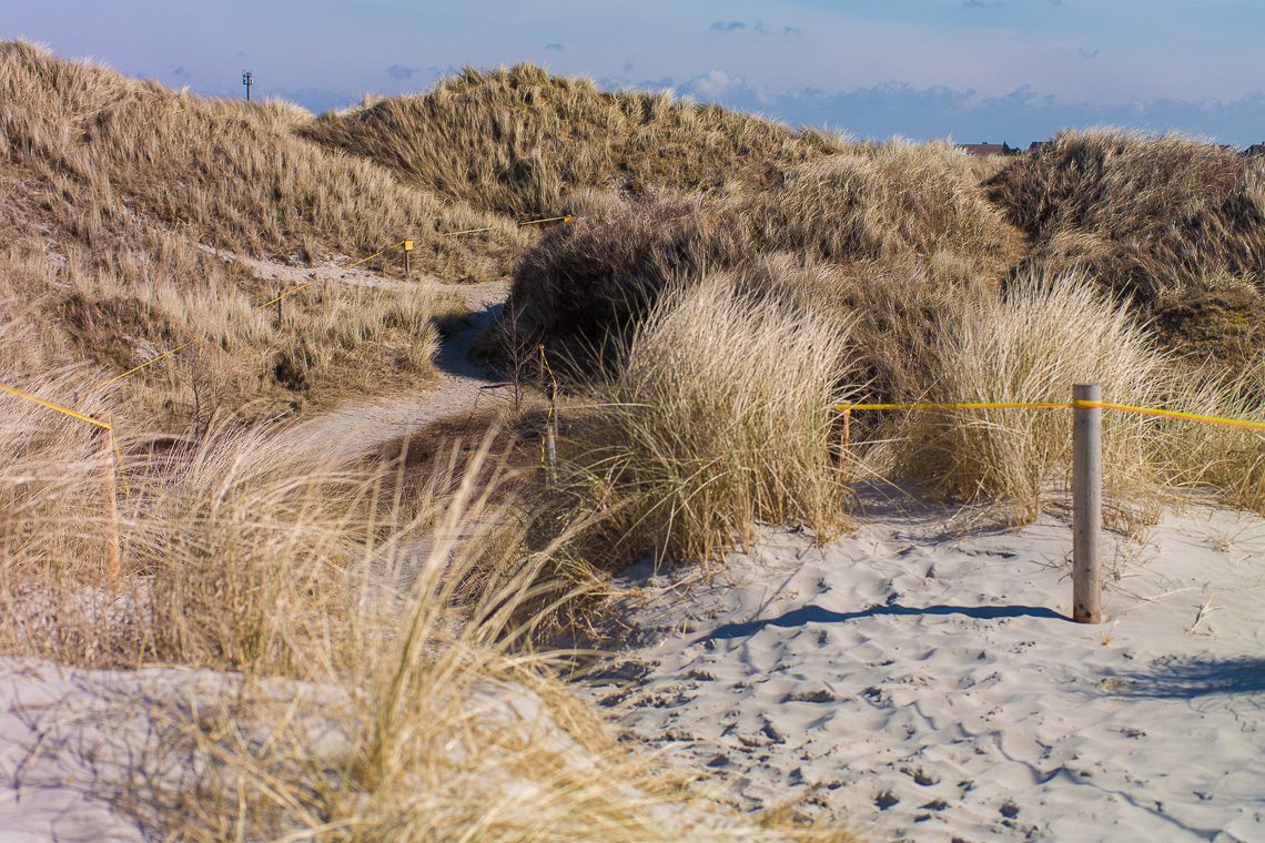Gegen den Wind Insider-Tipps für St. Peter-Ording - Dünen in St. Peter-Ording