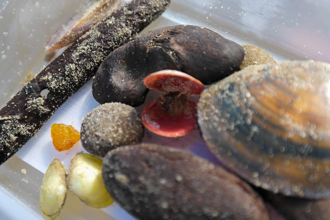 Insider-Tipps für St. Peter-Ording - Bernstein