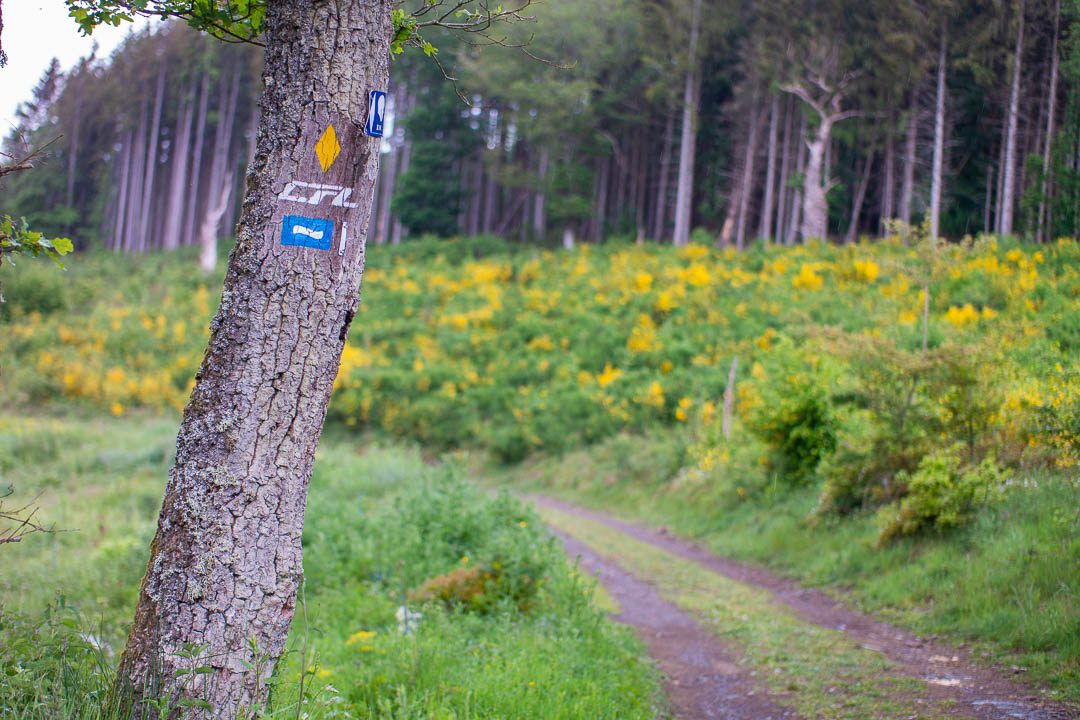 Aktivurlaub in Luxemburg