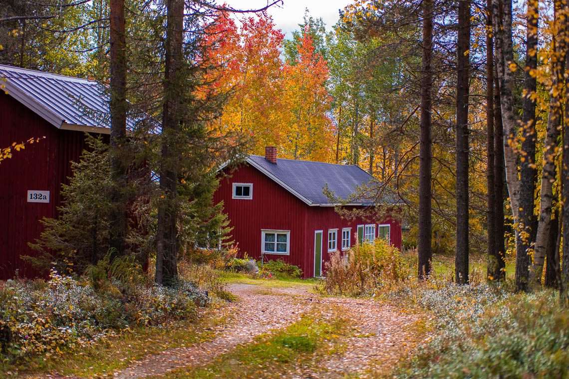 Indian Summer in Lappland - außergewöhnliche Herbst-Reiseziele