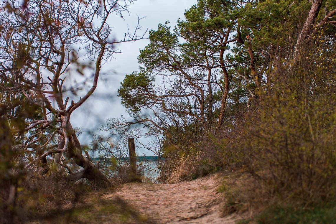 Usedom Geheimtipp Naturnaher & nachhaltiger Urlaub auf der Halbinsel Gnitz