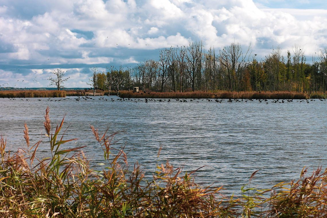 Usedom Geheimtipp Naturnaher & nachhaltiger Urlaub auf der Halbinsel Gnitz