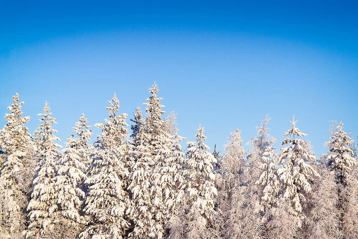 Die besten Tipps So bereist Du Lappland individuell im Winter (8)
