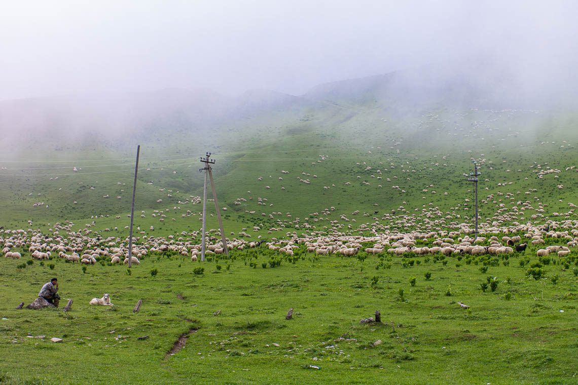 Georgien & Armenien Roadtrip