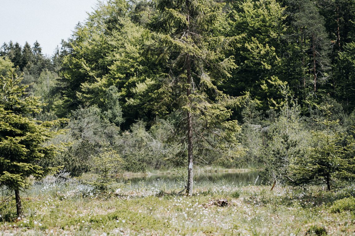 Aktiv am Chiemsee: Besondere Ausflugsziele und Naturerlebnisse