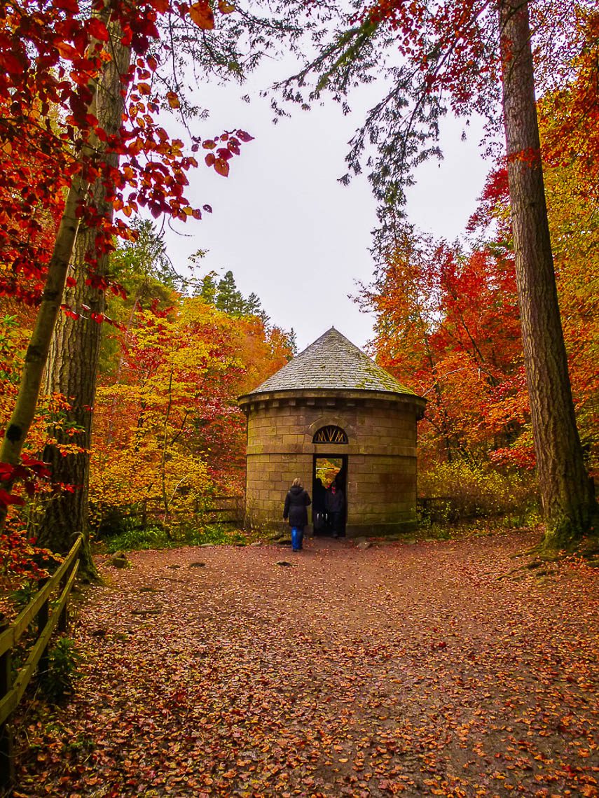 Herbstwandern in Schottland - Braan Walk @ The Hermitage, Dunkeld