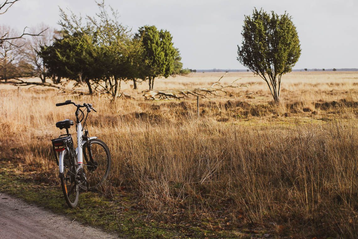 Radtour im Dwingerveld Nationalpark