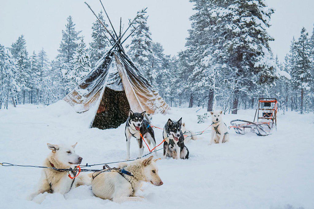 Hundeschlittentour in Lappland