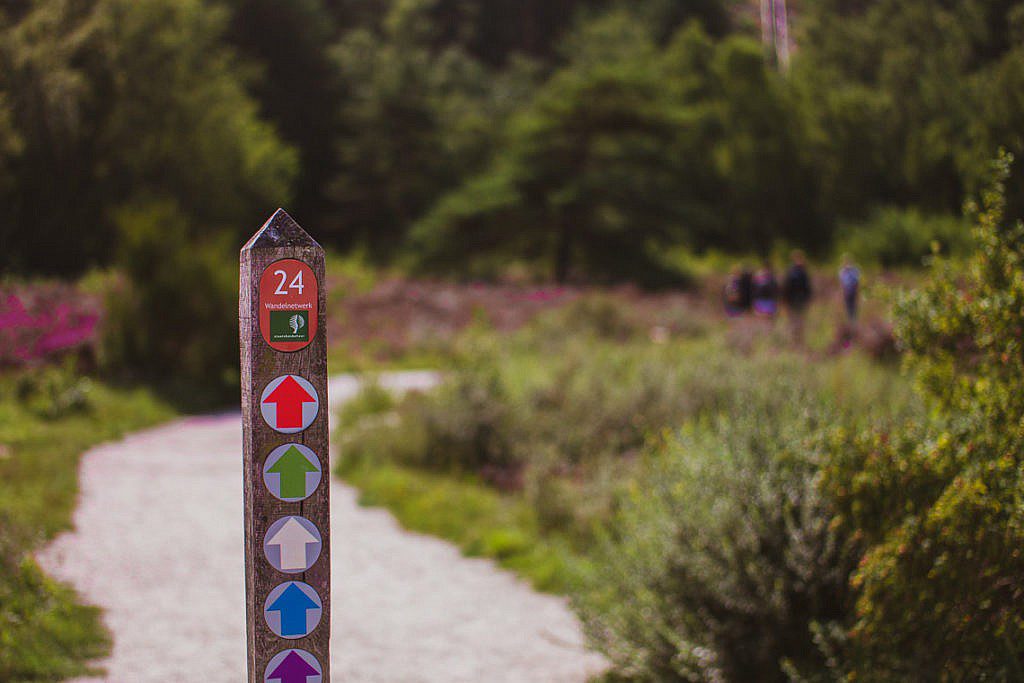 Wanderungen in Schoorl