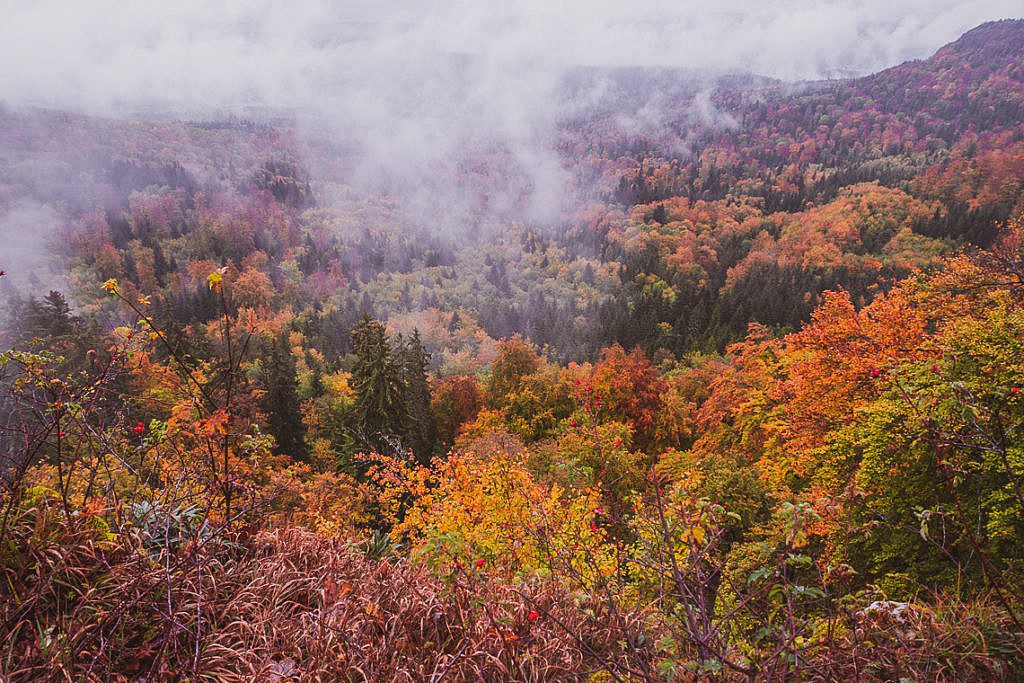 Traufgang Zollernburgpanorama Kohlwinkelfelsen
