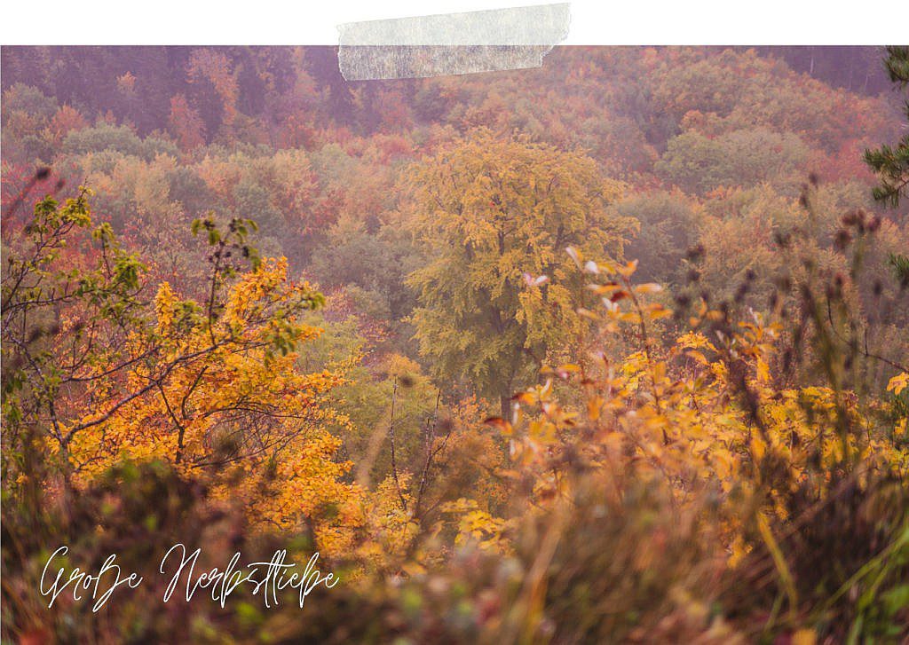 Die Traufgänge Schwäbische Alb können auch mystische Herbststimmung