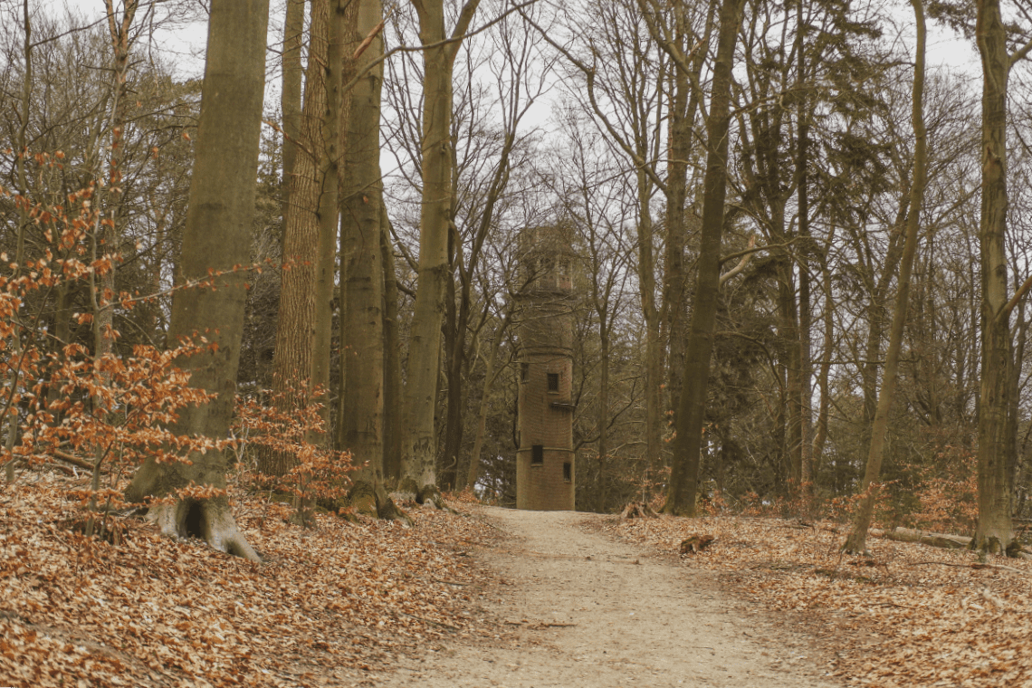 Lochemse Berg