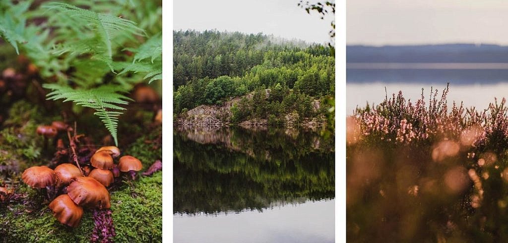 Kanutour Schweden Natur Dalsland Värmland