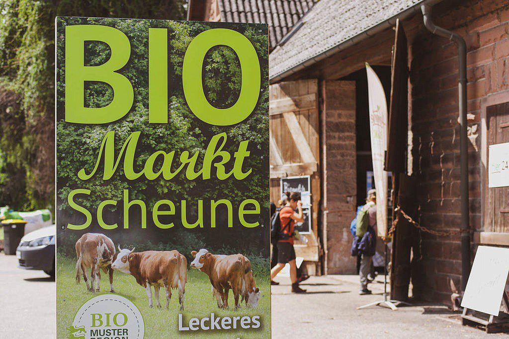 Trekking im Odenwald