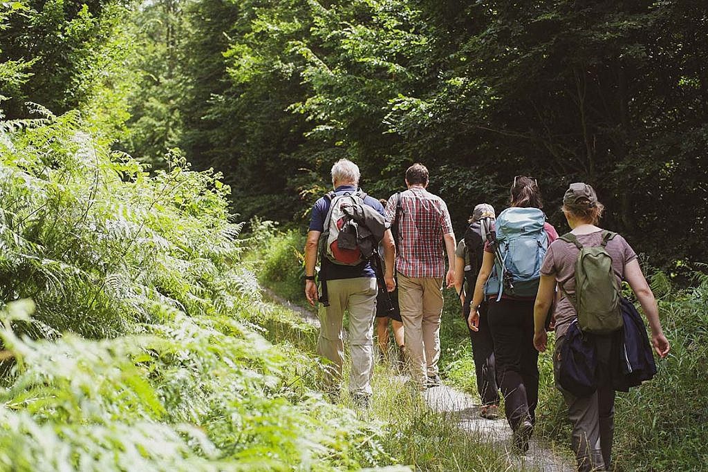 Trekking im Odenwald
