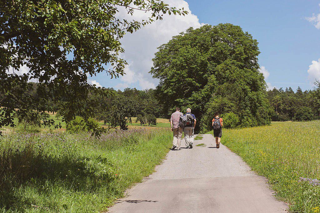 Trekking im Odenwald