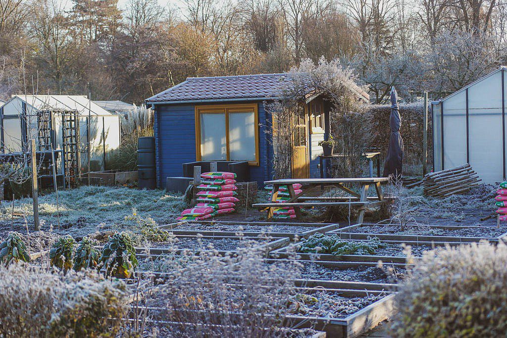 Schrebergarten