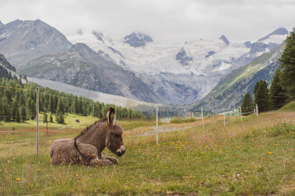 Diavolezza Berghaus und Bergbahn Schweiz