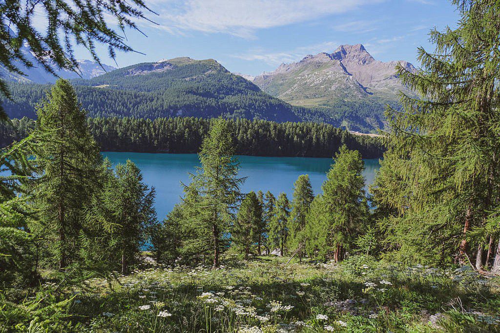 Bernina Tour Schweiz Graubünden -00011