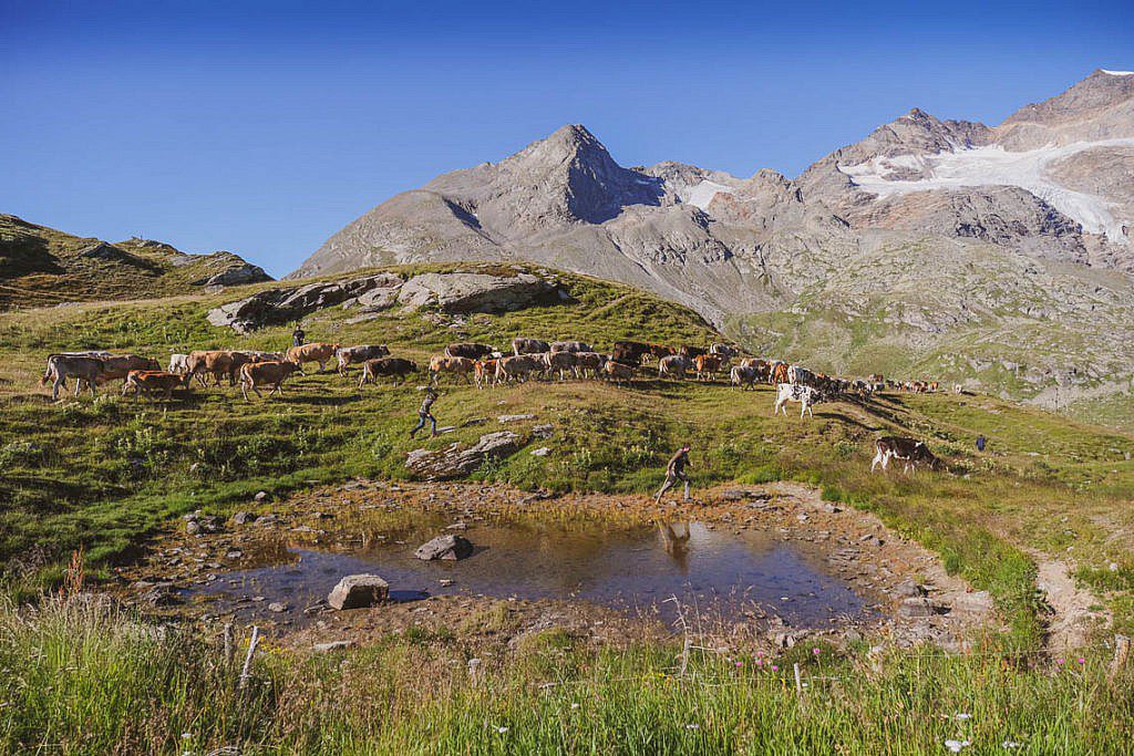 Bernina Tour Schweiz Graubünden