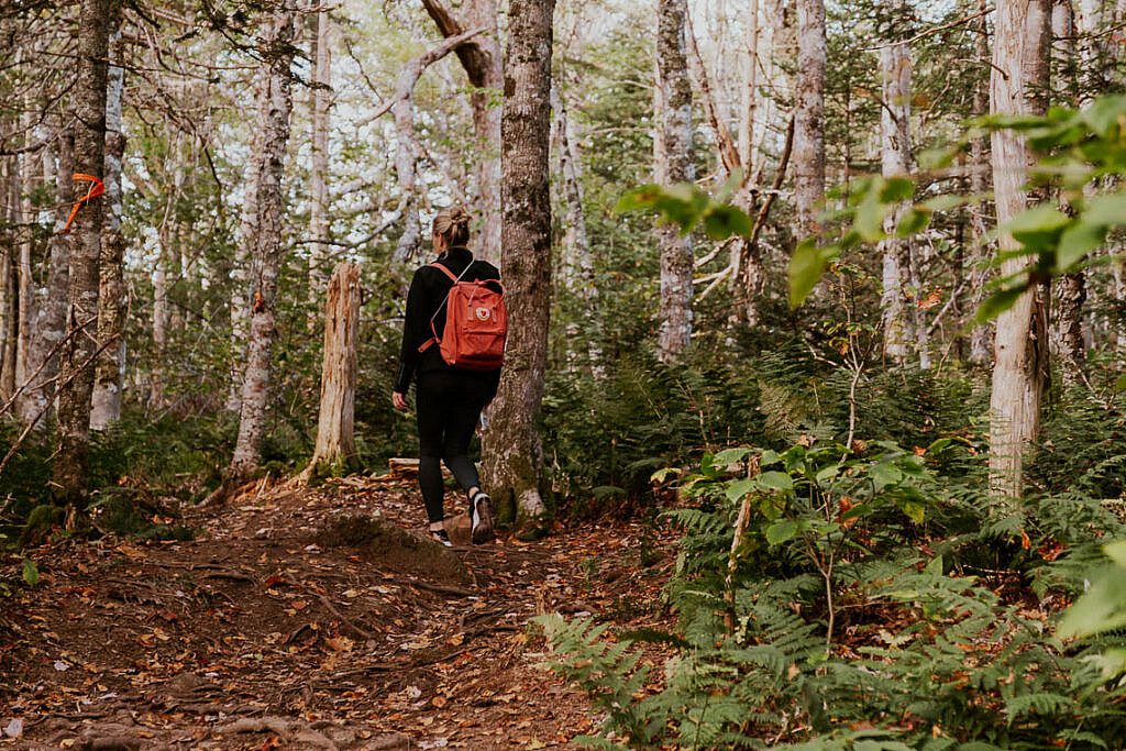 Egypt Falls Wanderung Cabot Trail 1
