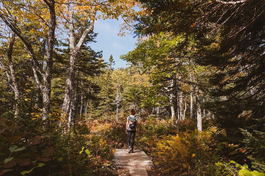 Franey Trail schönste Wanderung Nova Scotia 13