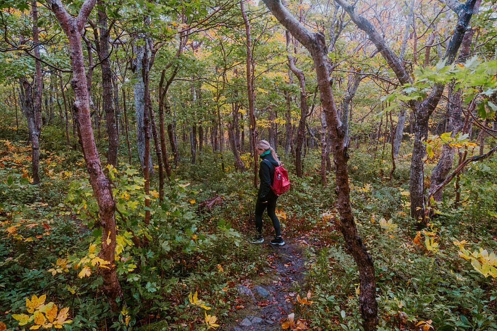 Meatcove Mountain Trail Nova Scotia schönste Wanderungen 1