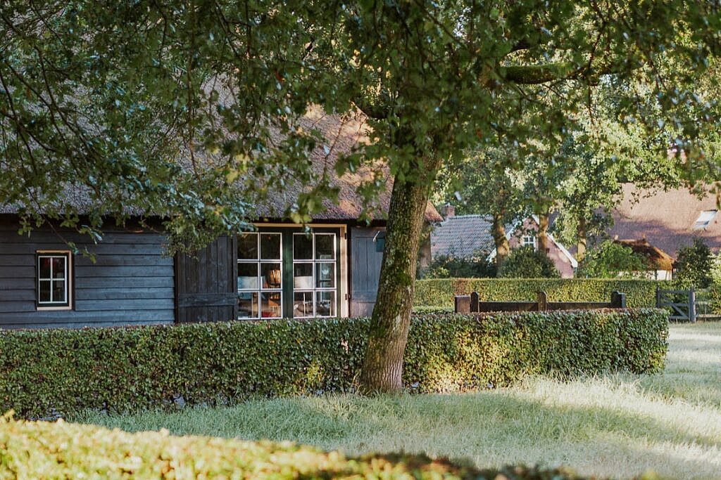 Hardenberg Tipps Rheeze 2