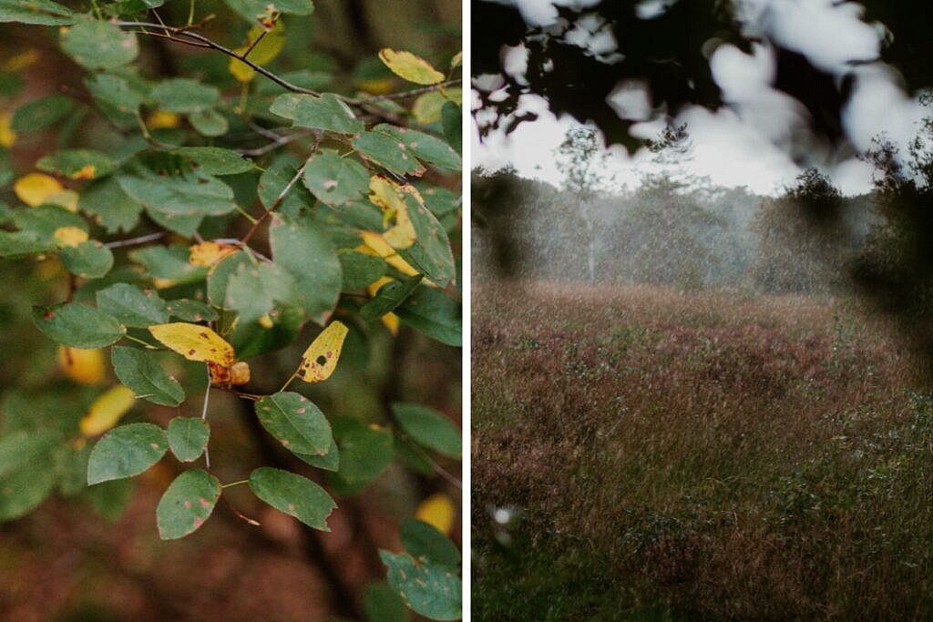 Wanderung zum Haarplas - Rondje Rheeze Hardenberg Tipps 1