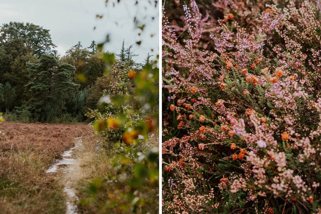 Wanderung zum Haarplas - Rondje Rheeze Hardenberg Tipps 2