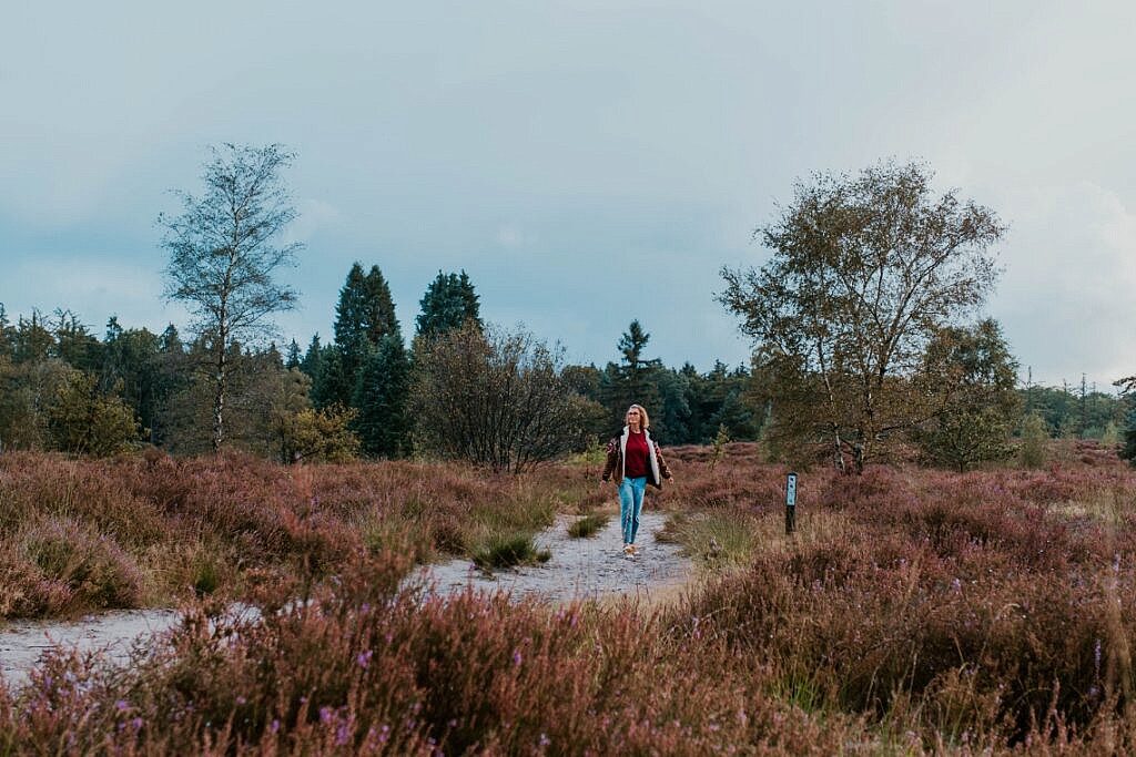 Wanderung zum Haarplas - Rondje Rheeze Hardenberg Tipps 4