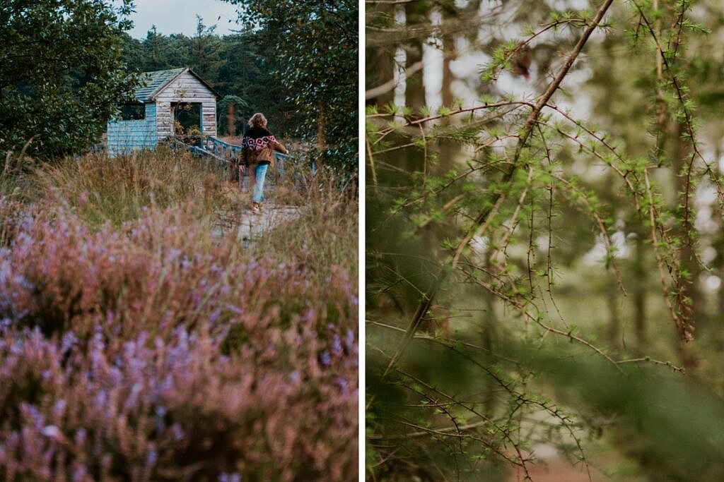 Wanderung zum Haarplas - Rondje Rheeze Hardenberg Tipps 5
