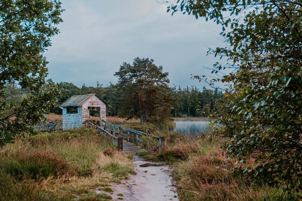 Wanderung zum Haarplas - Rondje Rheeze Hardenberg Tipps 8