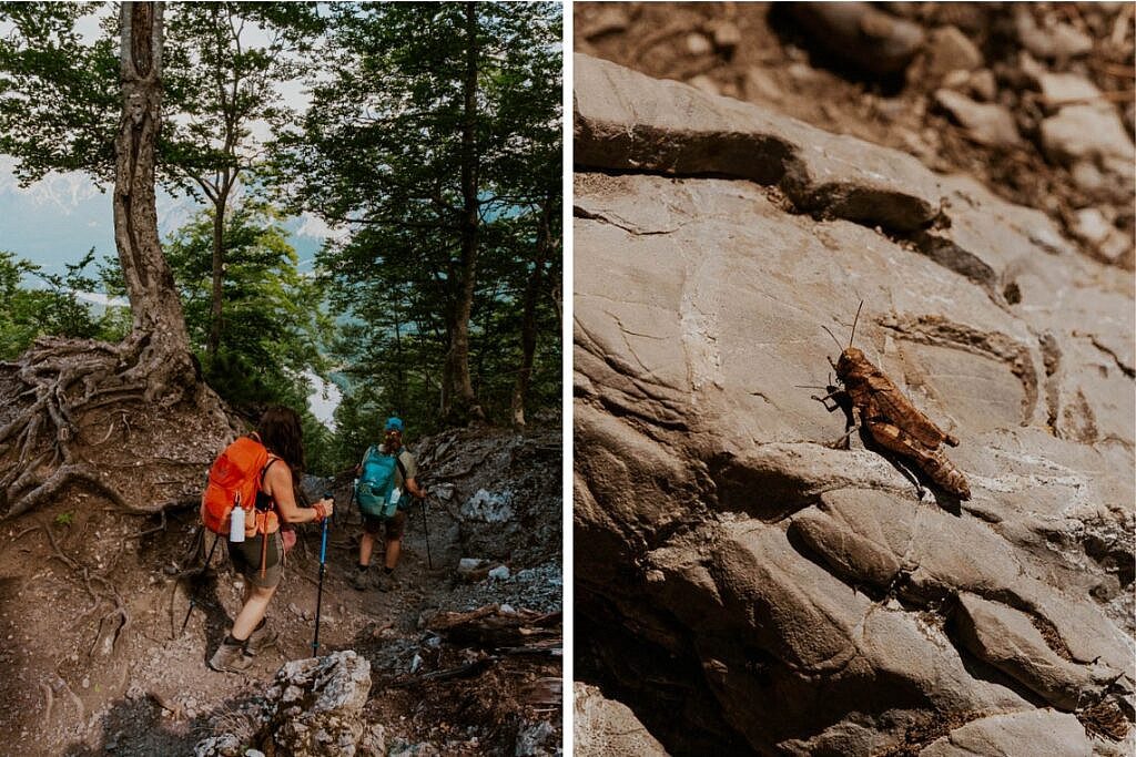 Peaks of the Balkan Trail Theth - Valbona 16