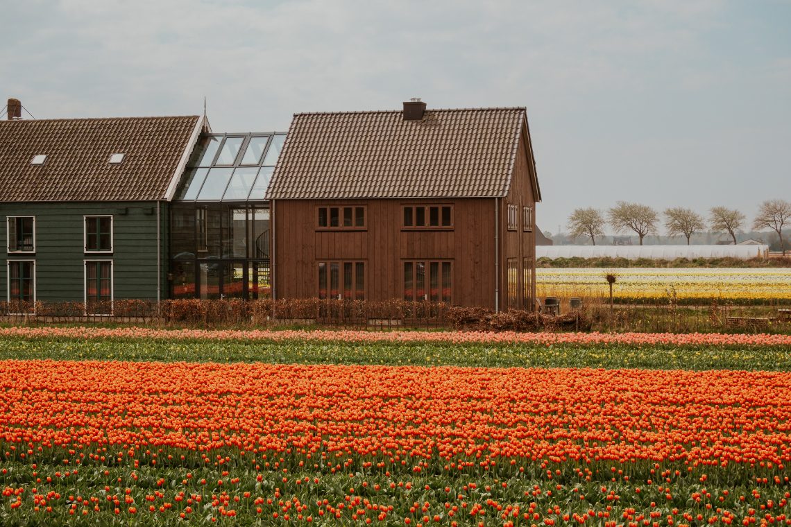 De Groene Bollenschuur Hillegom Tulpenblüte Übernachten