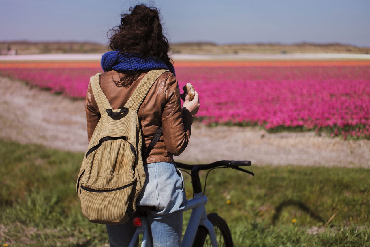 Fahrradtour Tulpenfelder Niederlande Tulpenblüte erleben