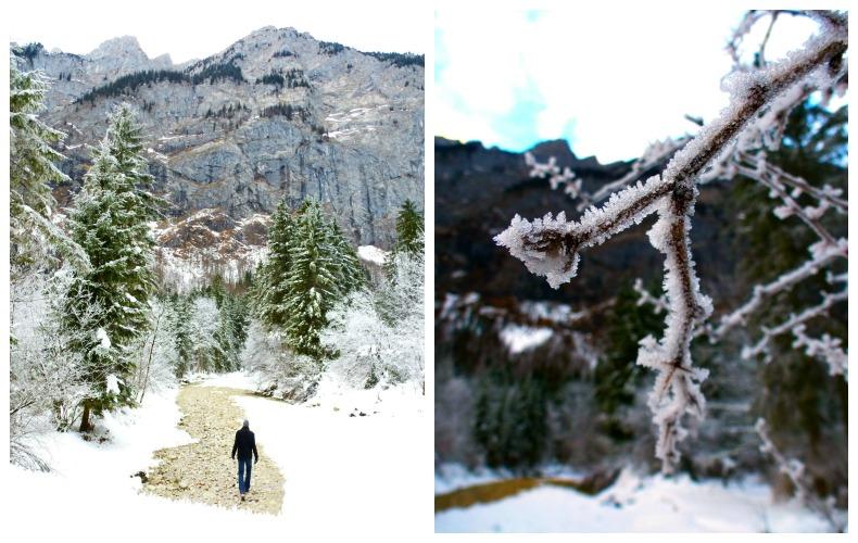 Winterwonderland