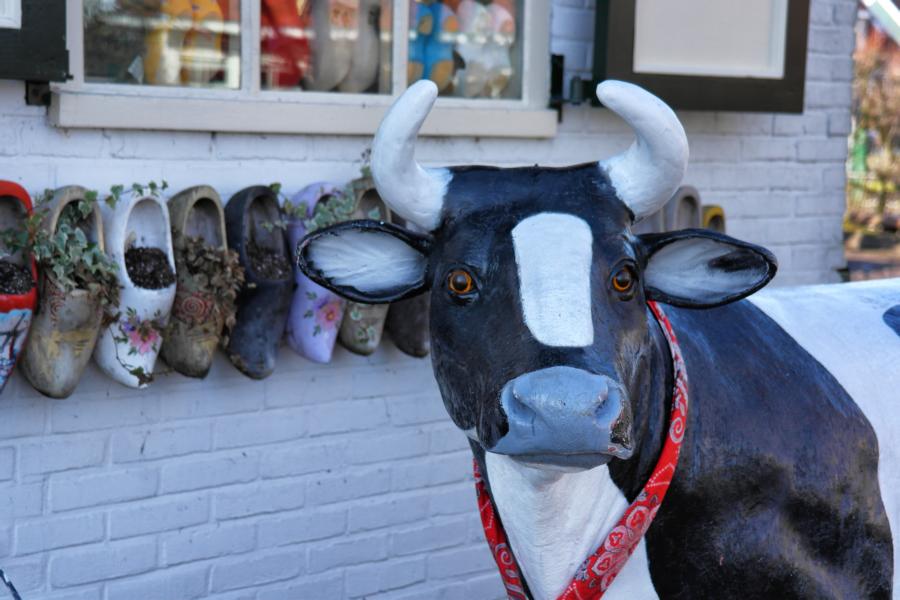 Insel Marken in Holland