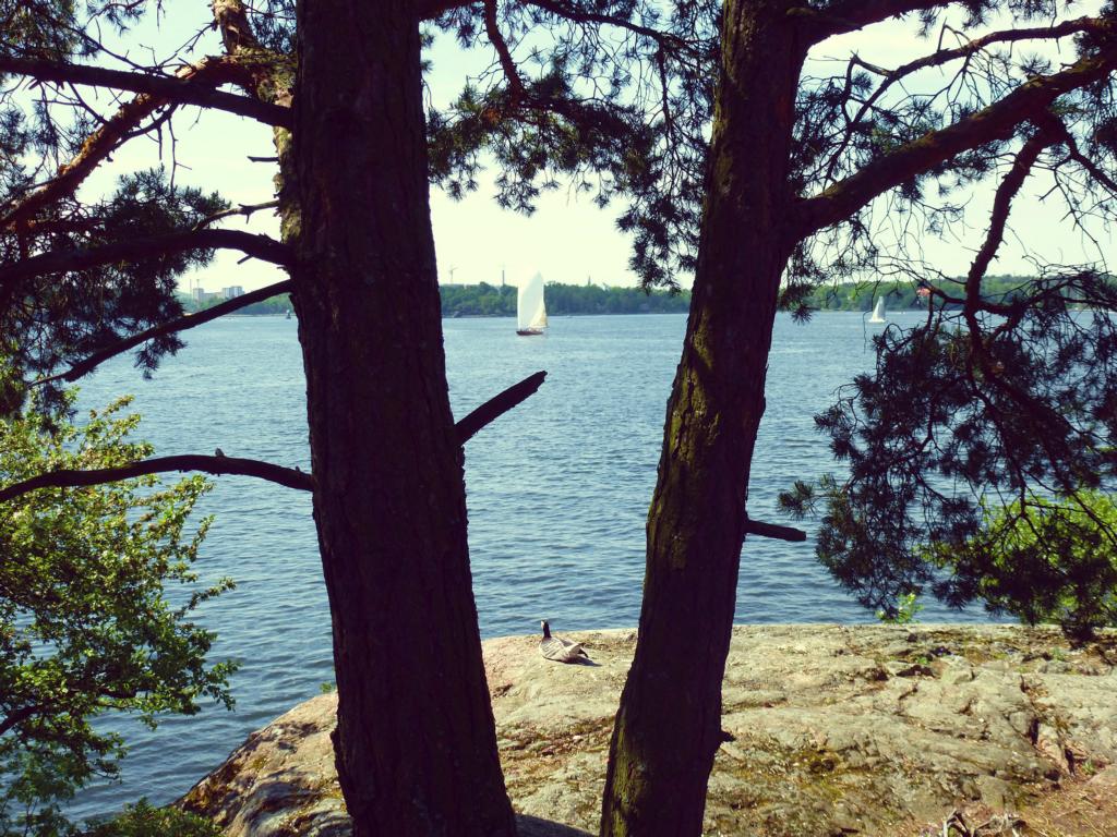Fjäderholmarna – Idyll in Stockholms Schärengarten 