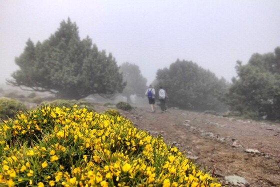 Trekking in Marokko