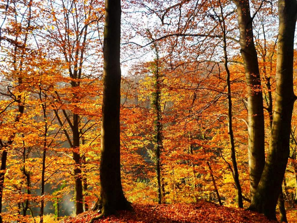 Herbst Bucket List