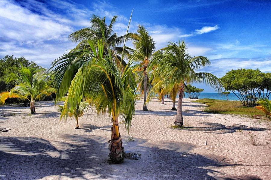 Trinidad Highlights: Das darfst Du auf Deiner Kuba-Reise nicht verpassen!